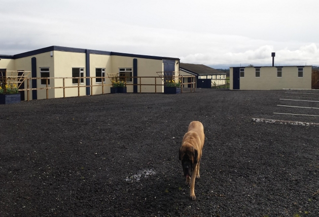 Norbreck Canine Centre. The North East Dog Training & Activity Centre for Northumberland & Newcastle