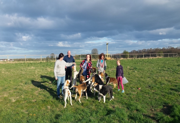 Norbreck Canine Centre. The North East Dog Training & Activity Centre for Northumberland & Newcastle