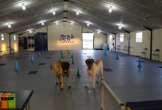 Norbreck Canine Centre. The North East Dog Training & Activity Centre for Northumberland & Newcastle